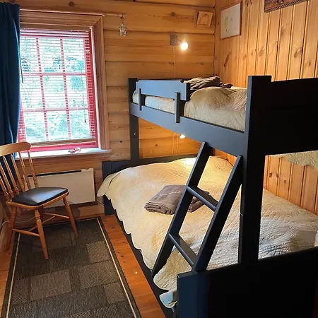 Familiehytte I Telemark Med 4 Soverom Ferienhaus Felli