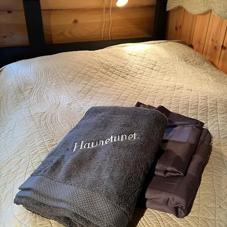 Familiehytte I Telemark Med 4 Soverom Felli