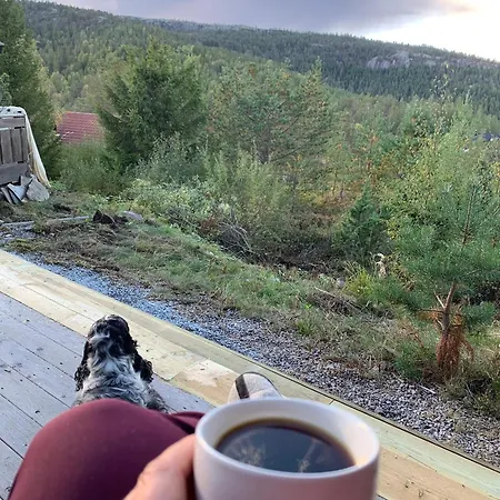 Familiehytte I Telemark Med 4 Soverom * Felli